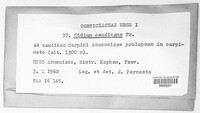 Image Associated With the Occurence